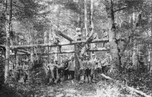 Soldiers constructing a shelter out of tree logs in a forest