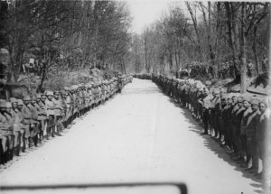 Soldiers lined up along a road through a forest